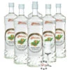 6 X Prinz Haselnuss-Schnaps + Gratis Schnapskelch