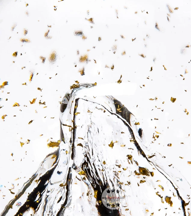 Studer Swiss Gold Vodka 4 Studer Swiss Gold Vodka – Bild 4